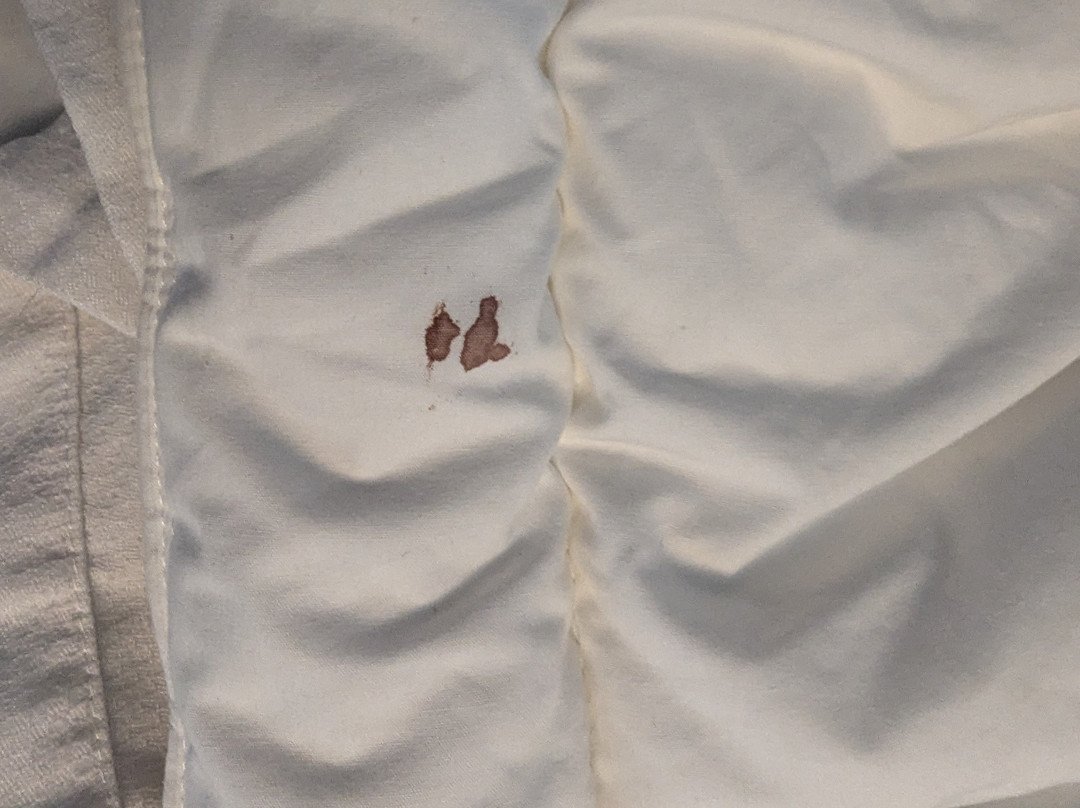 Comfort Inn & Suites St. Louis - Chesterfield主图