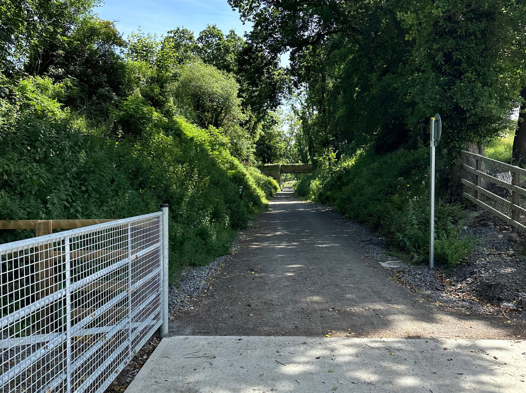 Carlingford Greenway Bike Hire-Carlingford必去景点
