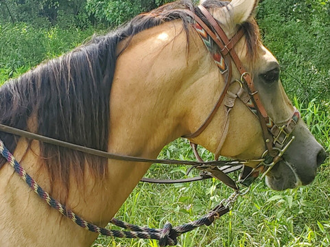 Secret Passage Ranch-Fort Valley必去景点