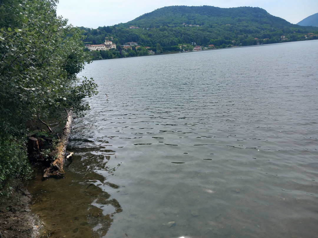 Parco Naturale dei Laghi di Avigliana景点图片