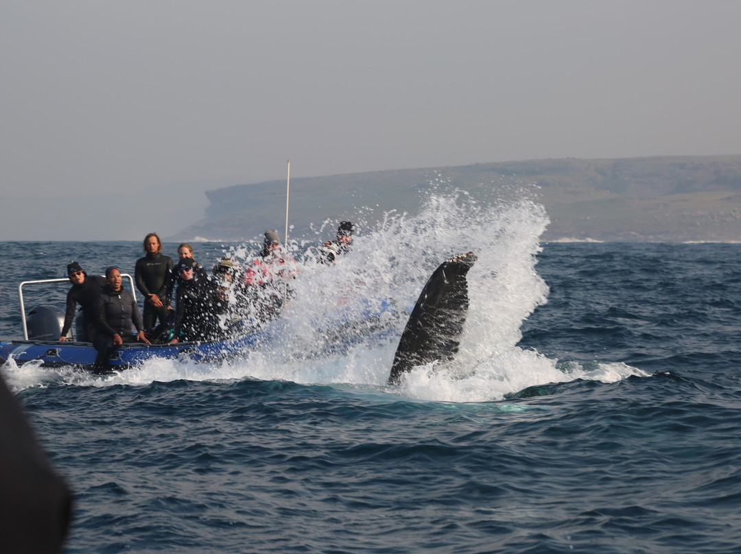 Offshore Africa-Port St Johns必去景点