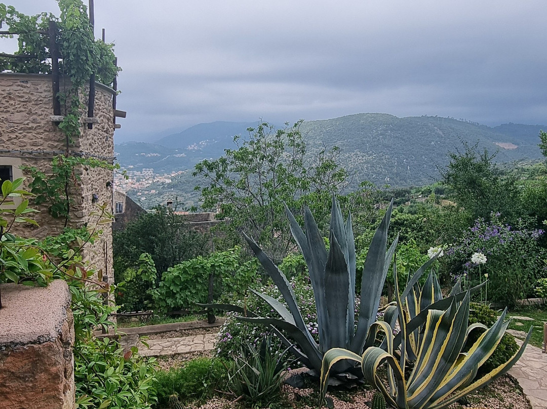 Antico Borgo Saraceno景点图片
