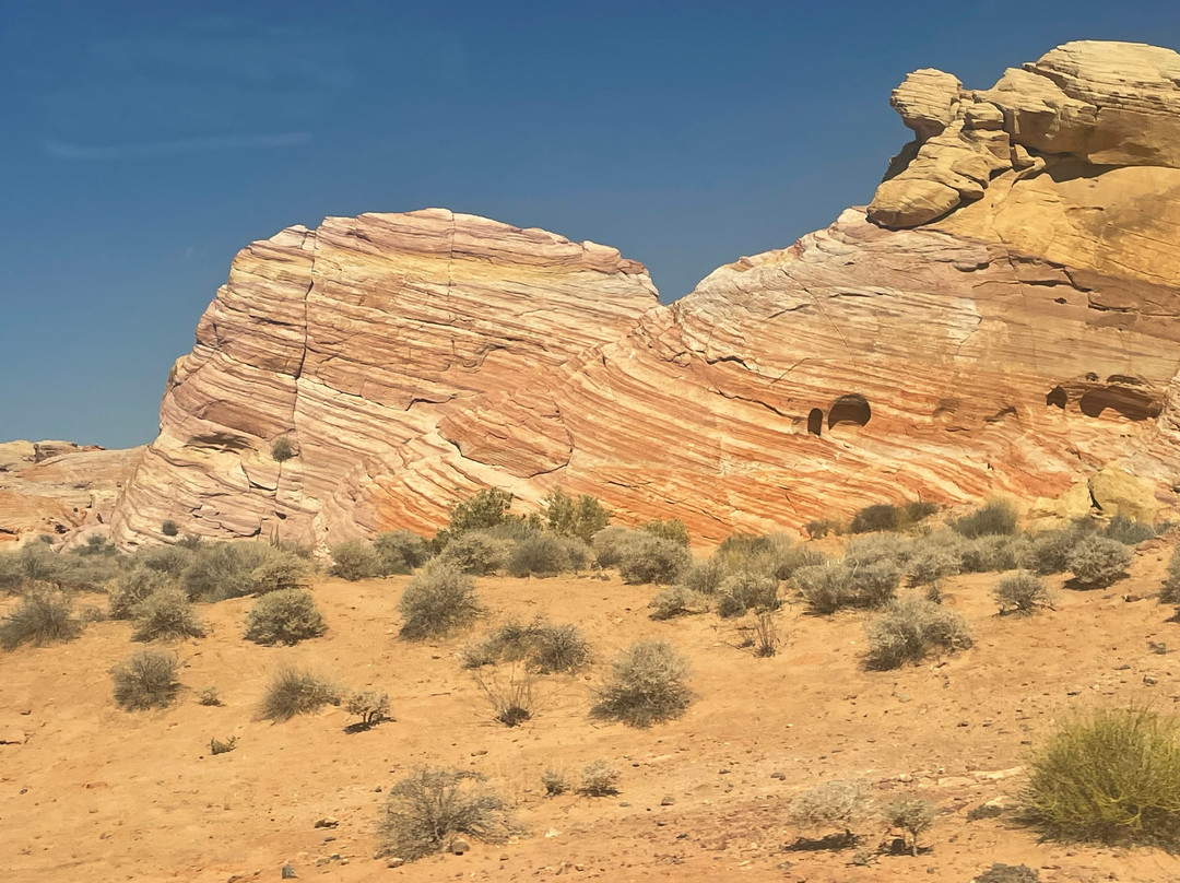 JNS Just Never Stop-拉斯维加斯必去景点