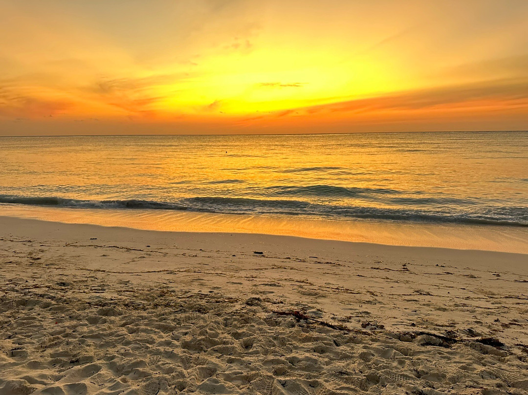 Jadevine Travel & Tours-石头城必去景点