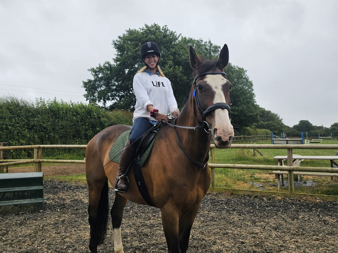 Regal Equestrian
