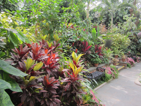 Planting Fields Arboretum State Historic Park-奥伊斯特贝必去景点