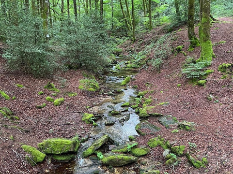 Trott'in Forest-Le Soulie必去景点