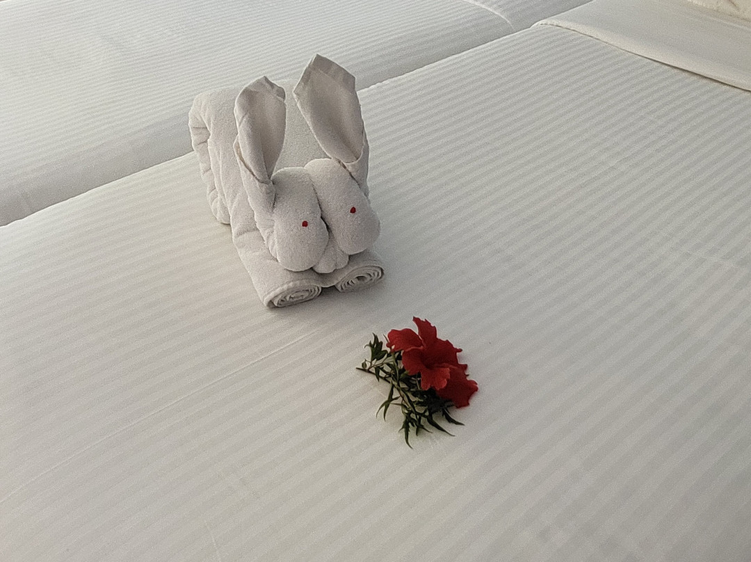 安卡菊海滩度假酒店主图