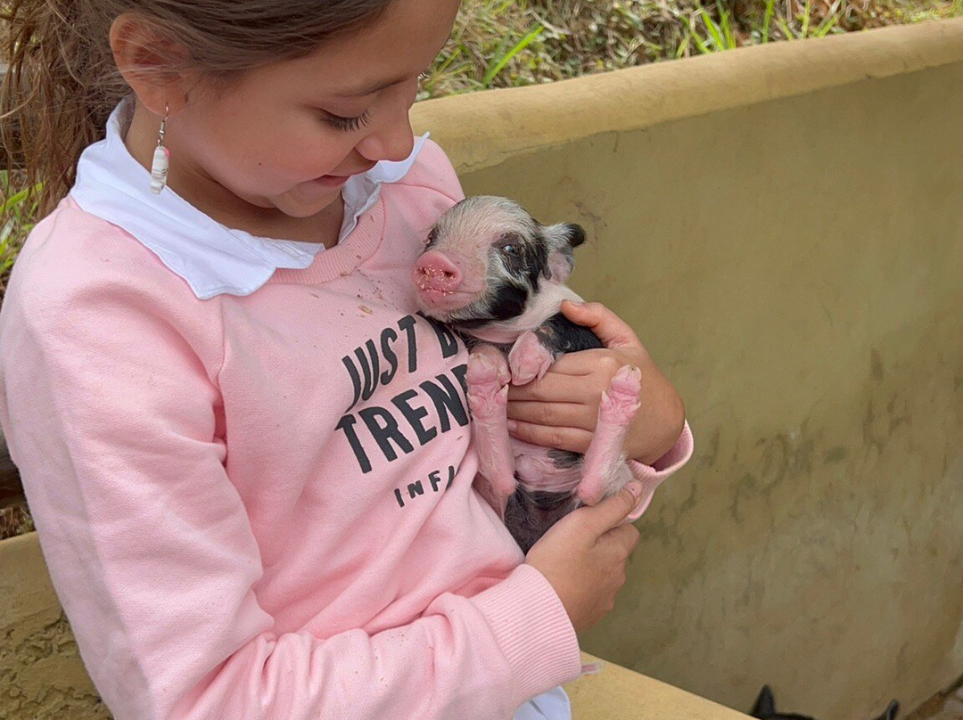 Mini Fazenda Pet Zoo-Cotia必去景点