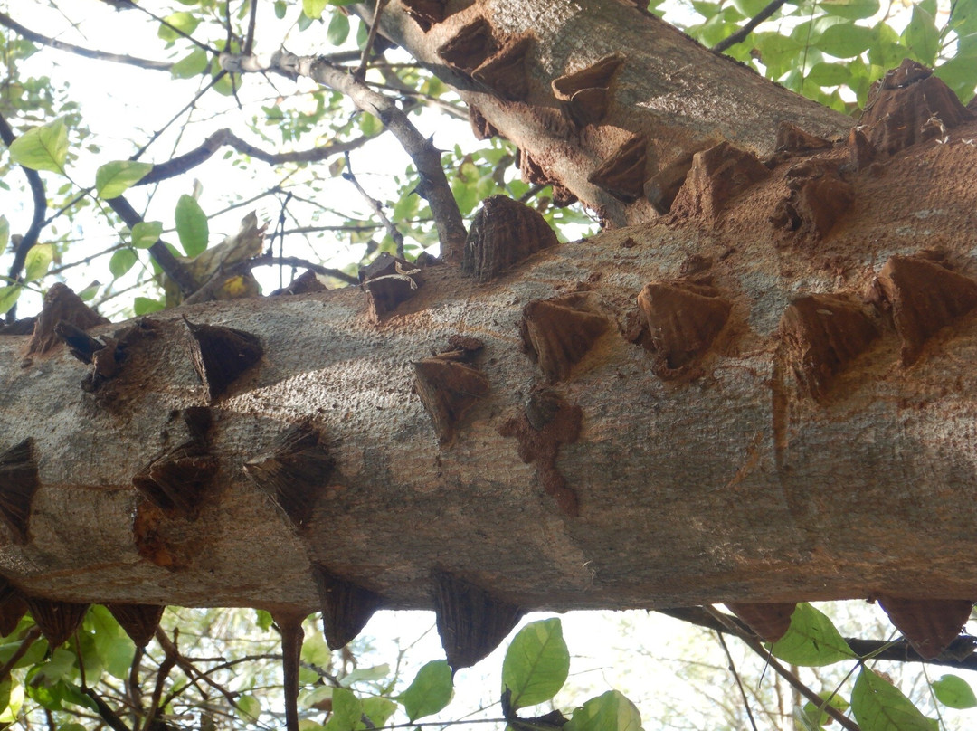 Lilongwe Wildlife Centre-里朗威必去景点