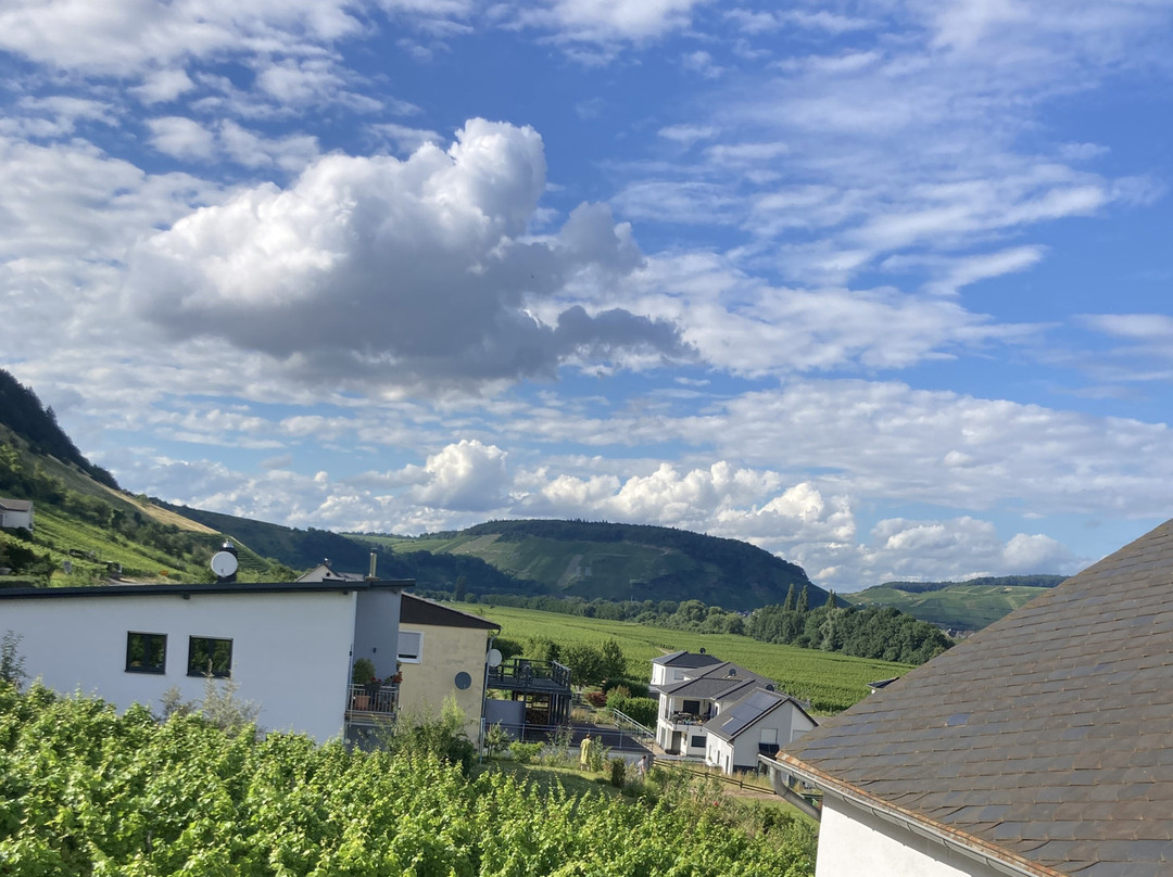 Michael Scholer WEINGUT & GASTEHAUS主图