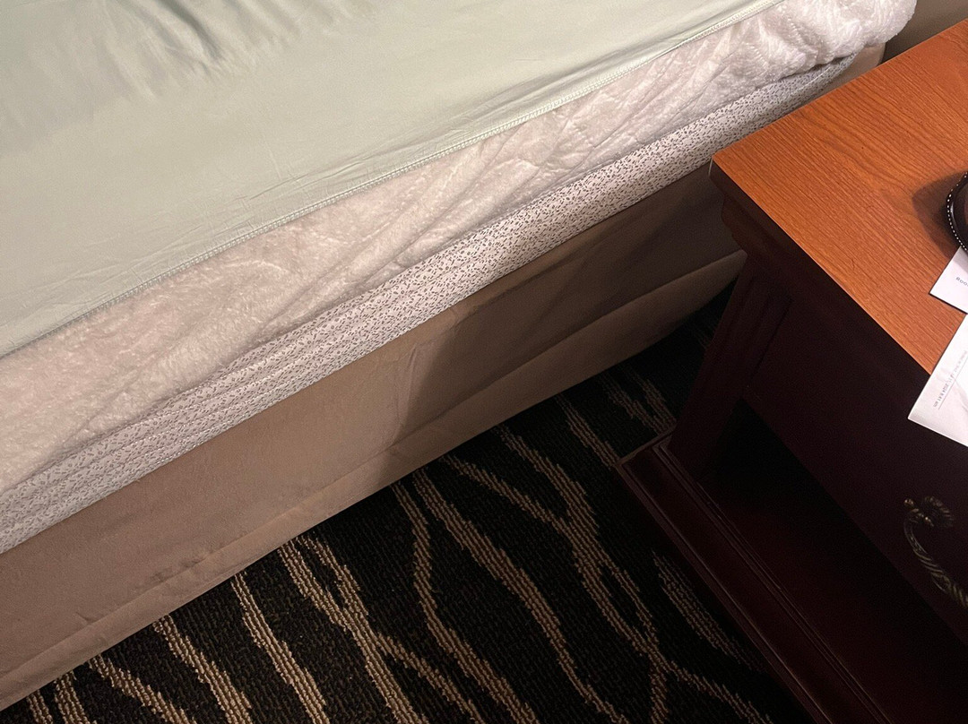 Holiday Hill Inn & Suites主图