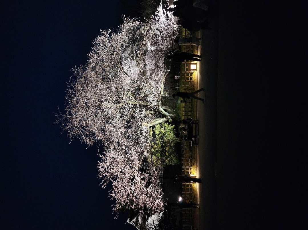 Kanazawa Castle Park景点图片