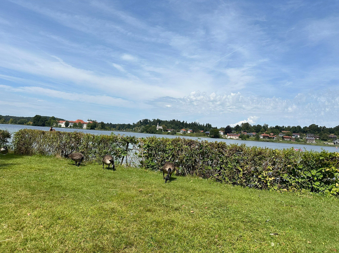 Strandbad Seeon-Seeon必去景点