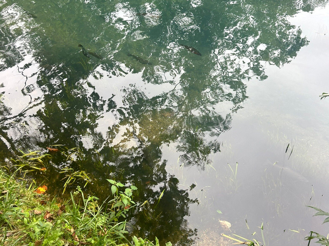 Maramec Spring Park-Saint James必去景点