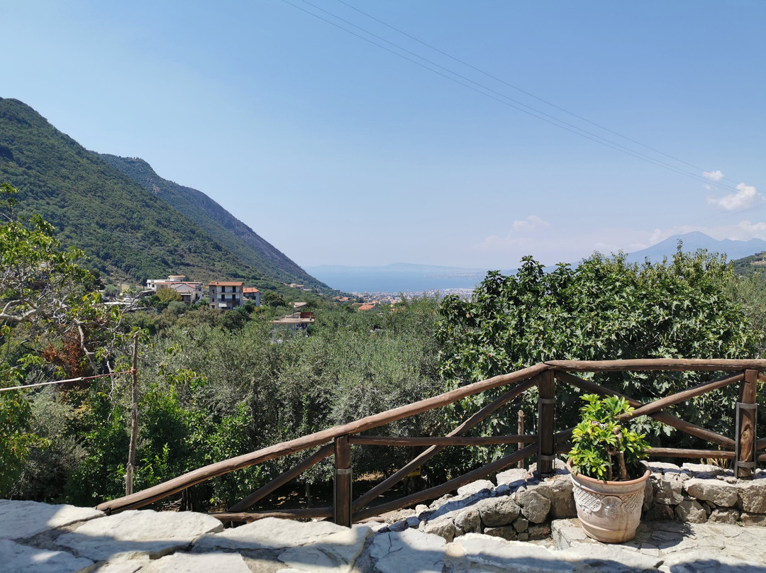 Agriturismo Casa Scola主图