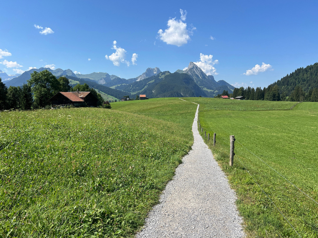 Panorama Trail Gstaad-格斯塔德必去景点