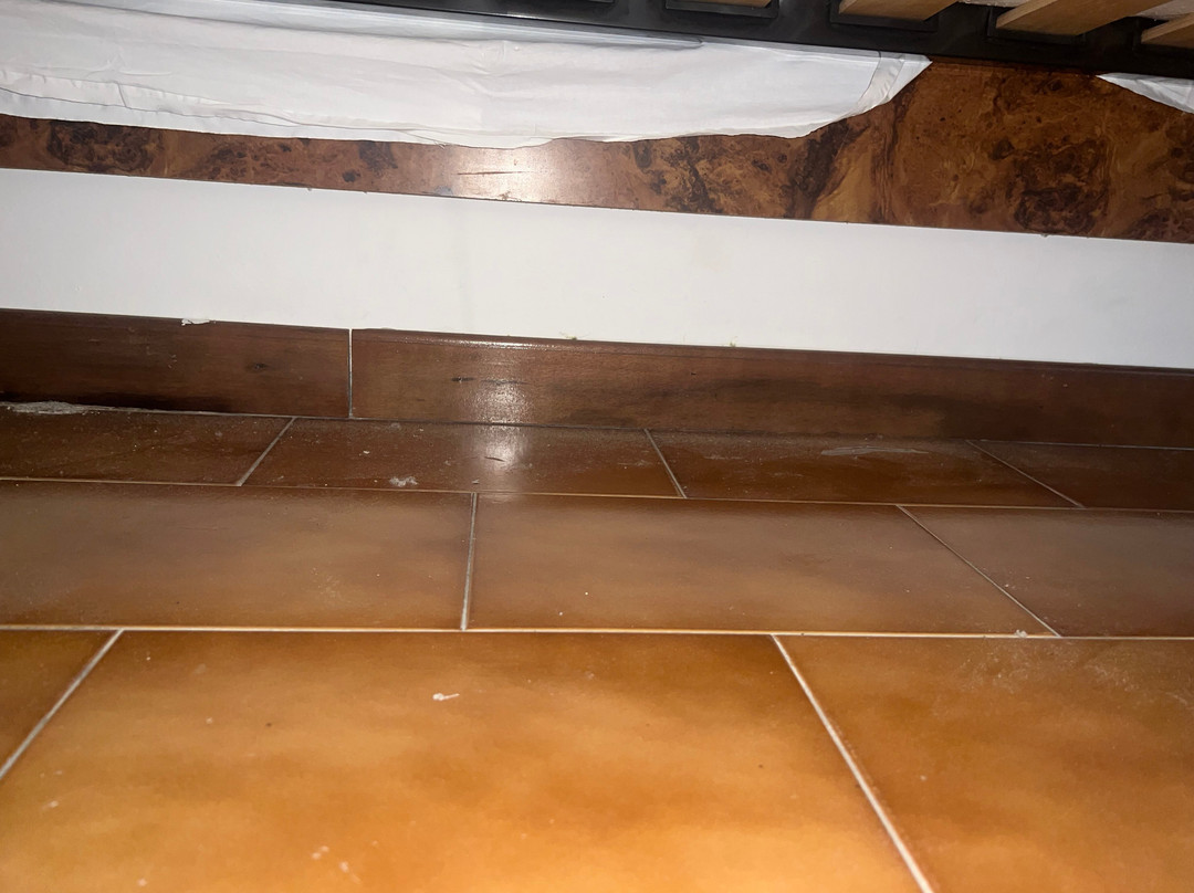 President & Nebenhaus Sporting主图