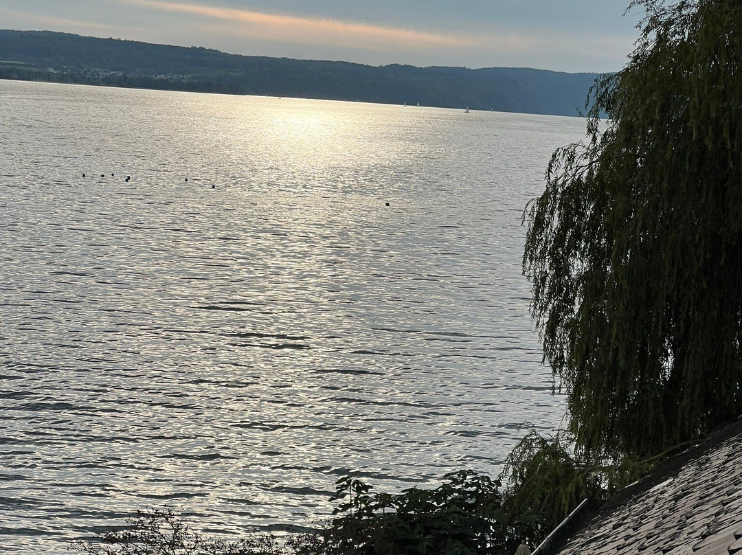 Hotel Seehalde主图