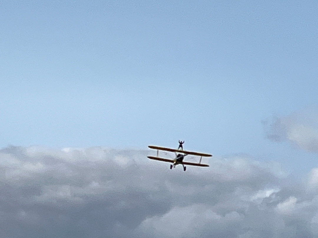 The Wing Walk Company景点图片