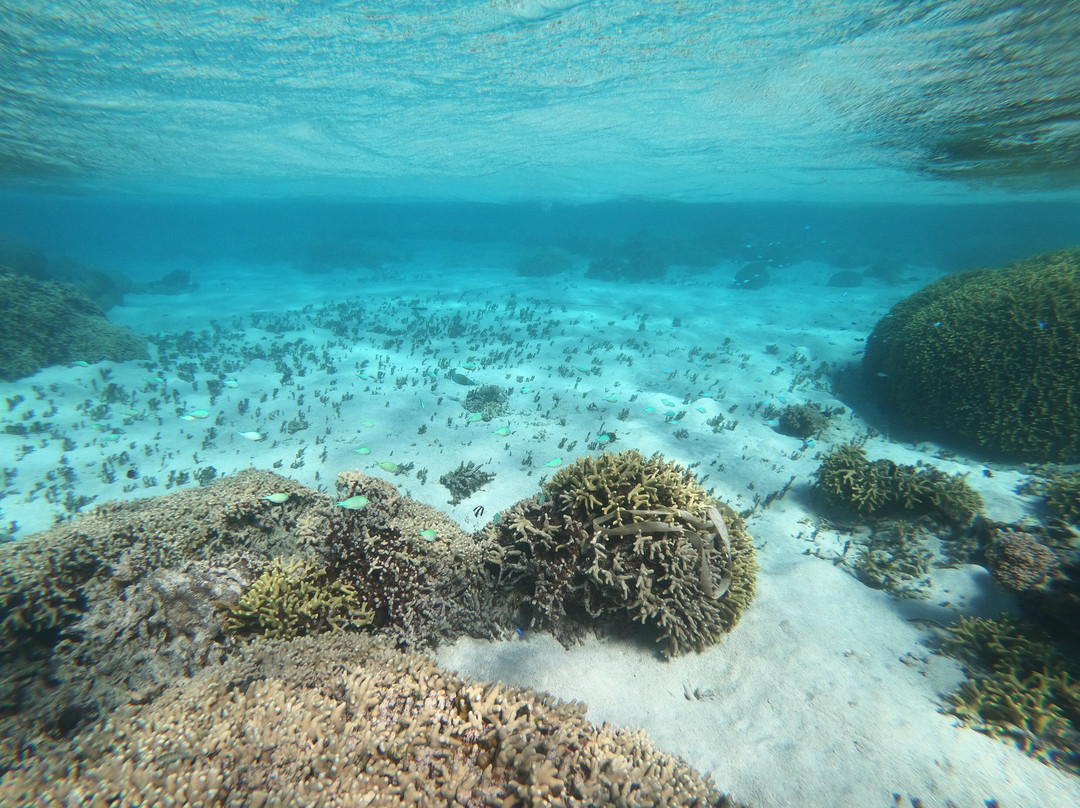 海滩度假酒店主图