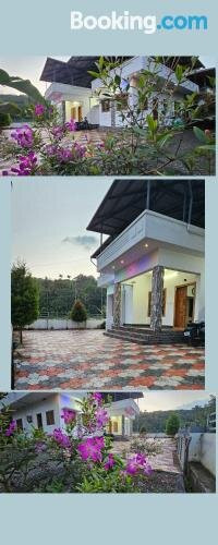 Greentree Homestay主图