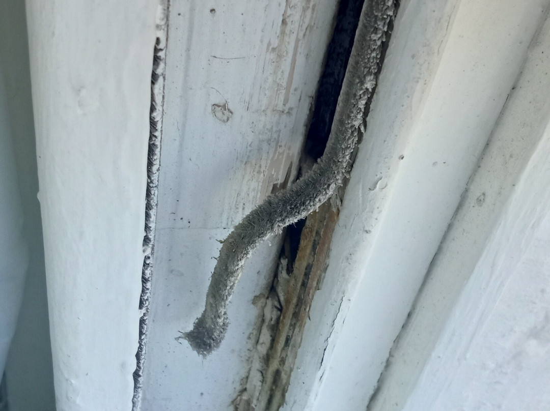 Waterfront Hotel主图