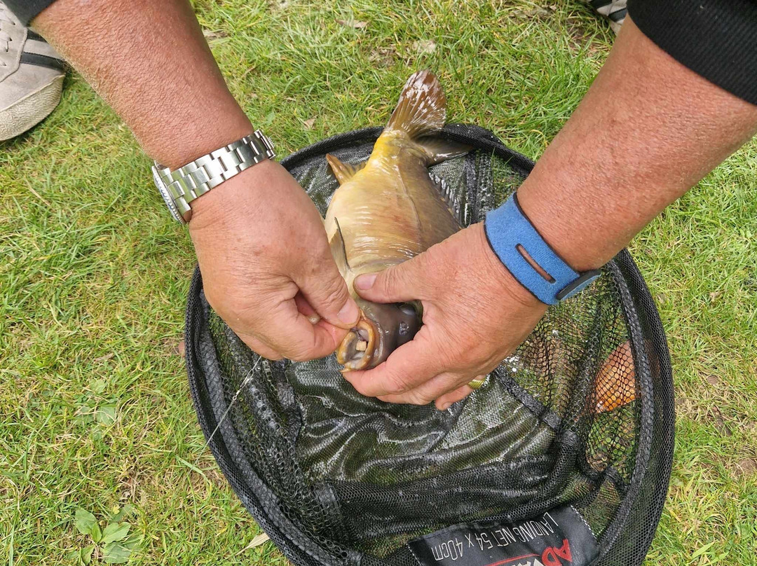 Lloyds Meadow Fishery-切斯特必去景点