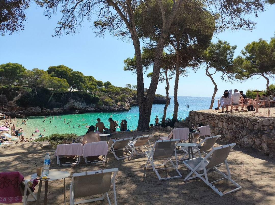 Cala Esmeralda Beach-卡拉多尔必去景点