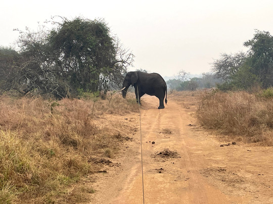 Afri Safaris-吉佳利必去景点