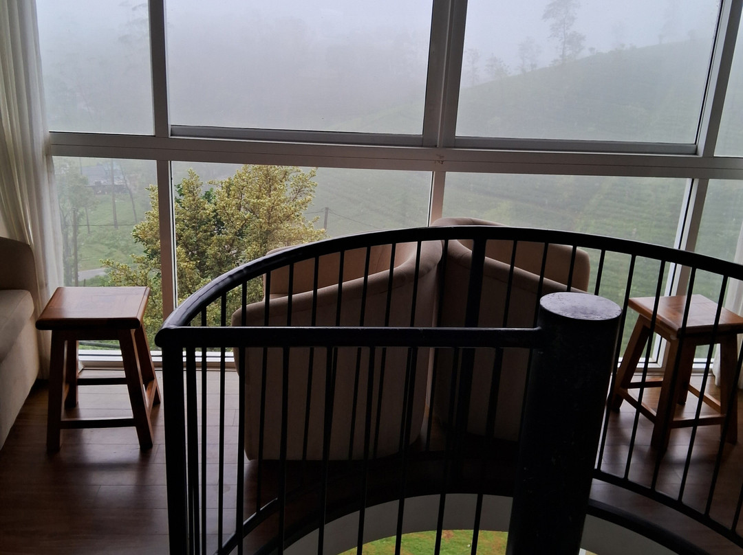 Harrington Heritage主图