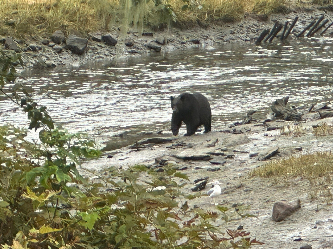 Herring Cove-凯奇坎必去景点