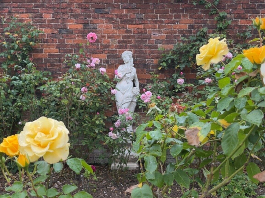 Elford Walled Garden景点图片