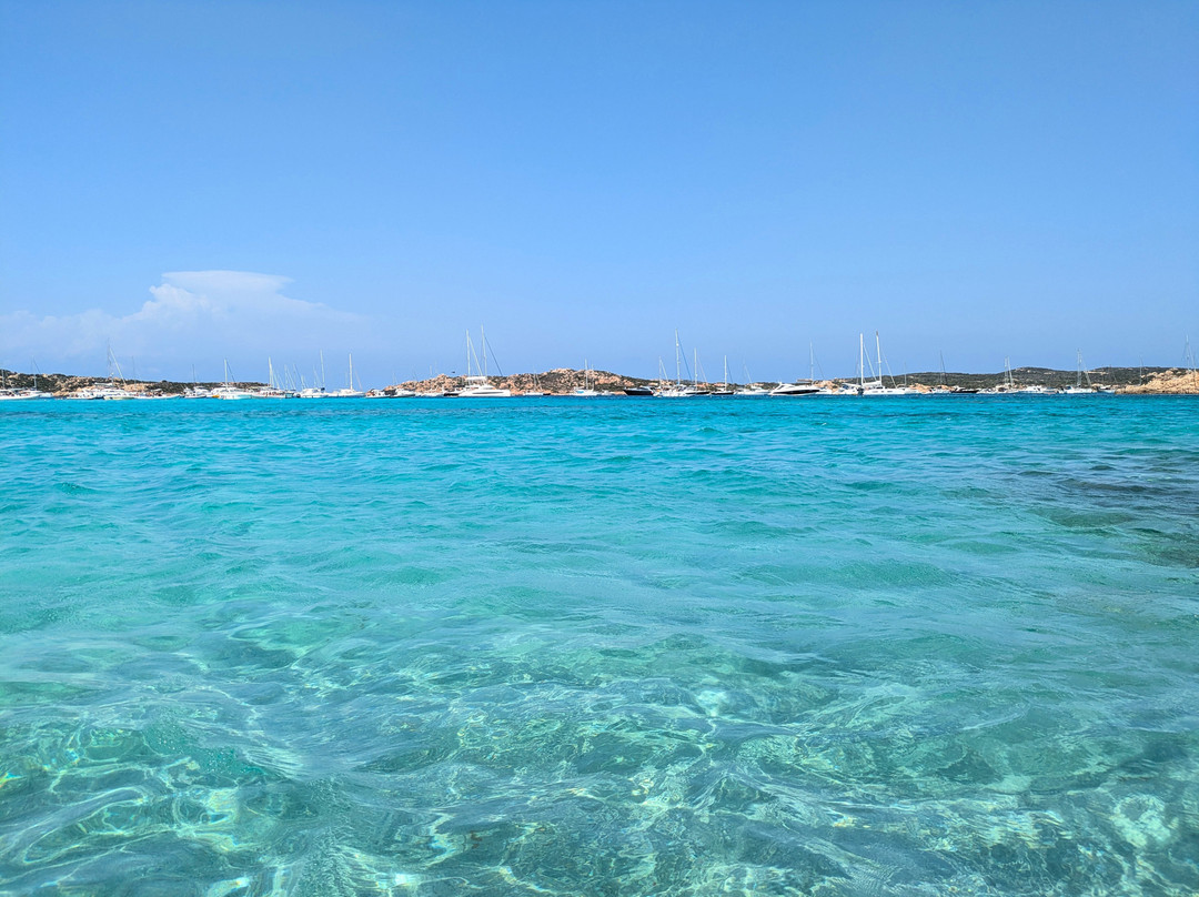 Spiaggia di Cavalieri-Budelli必去景点