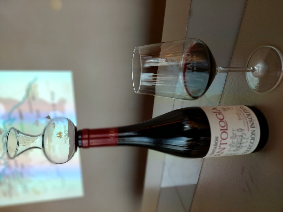 Bodegas Ontañón, El Templo del Vino景点图片