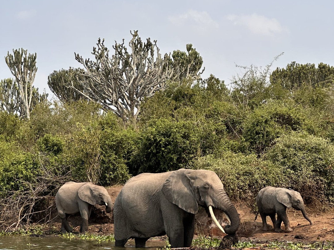 Exclusive African Safaris-Wakiso必去景点