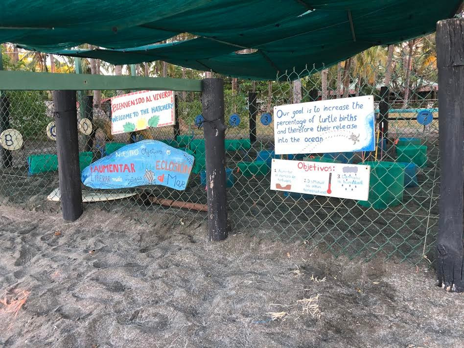 Mundo Milo Eco Lodge主图