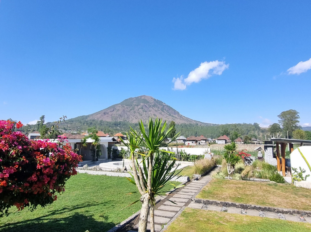 Host @ Volcano主图