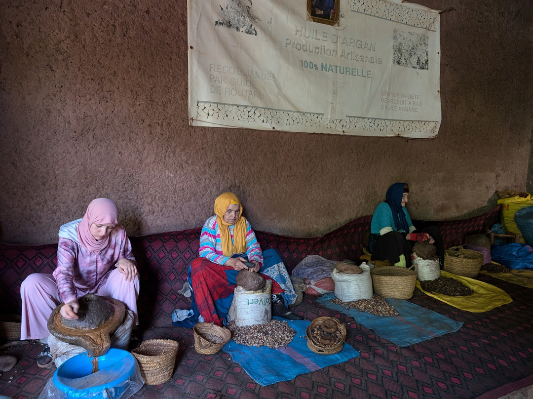 Moroccan Nomads Insights景点图片