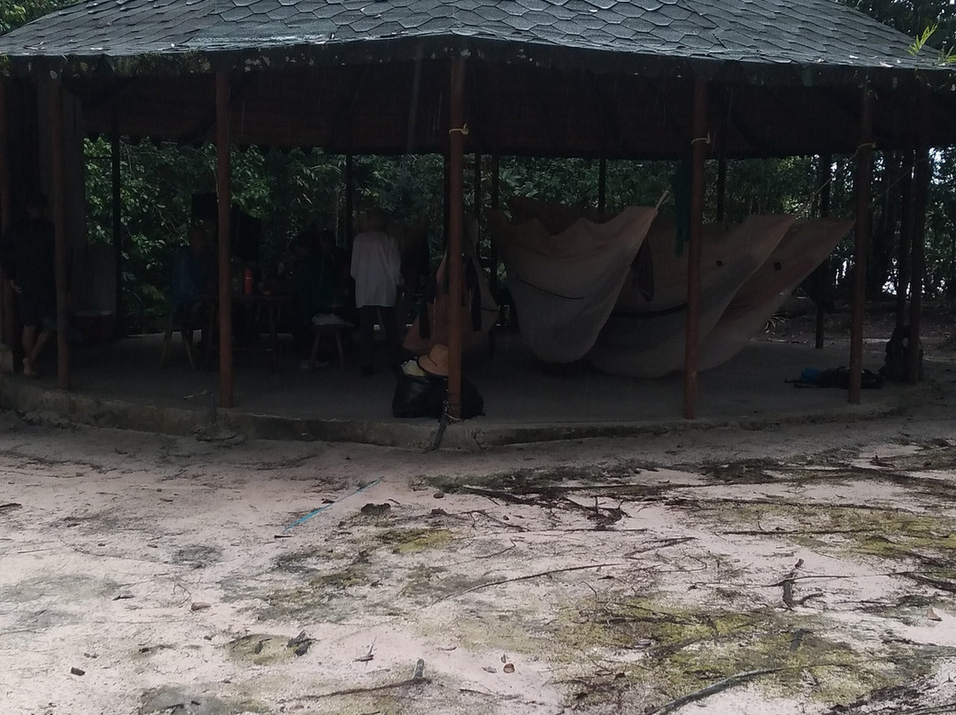 Auyantepuy-卡奈玛国家公园必去景点