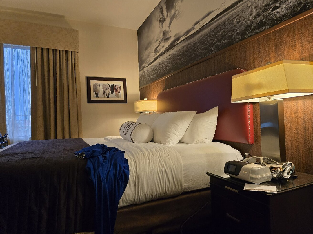 Northern Hotel主图