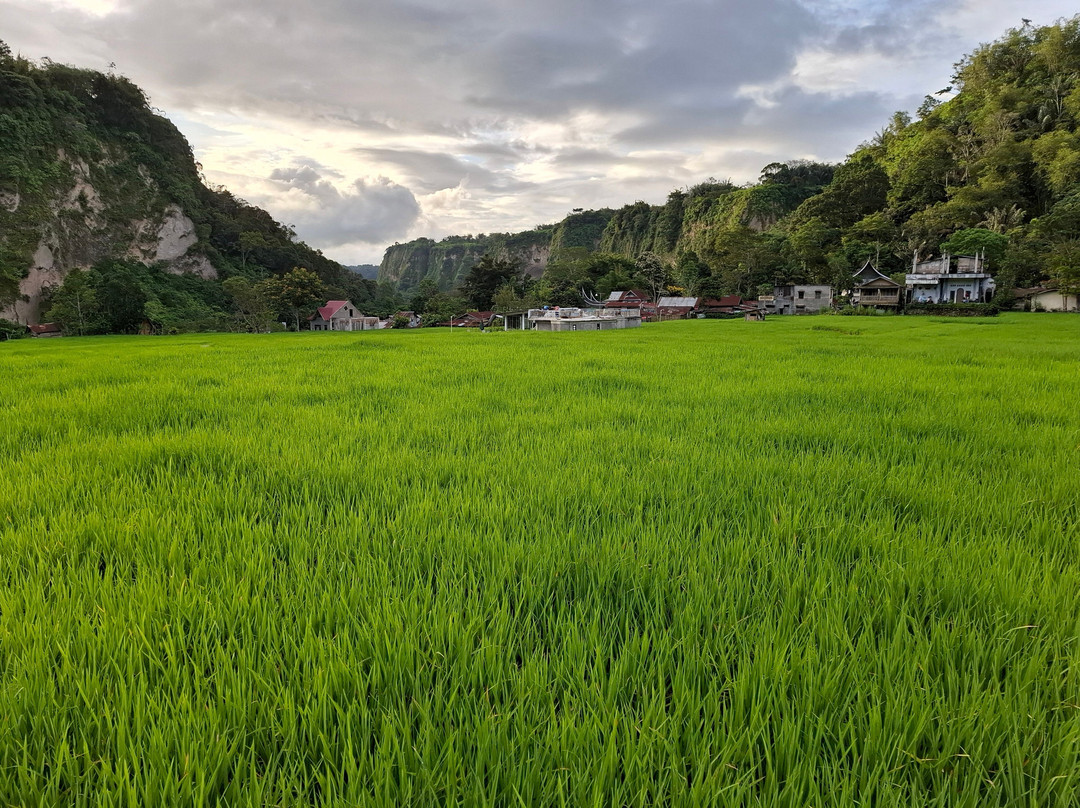 Lite 'N' Easy Tour-武吉丁宜必去景点