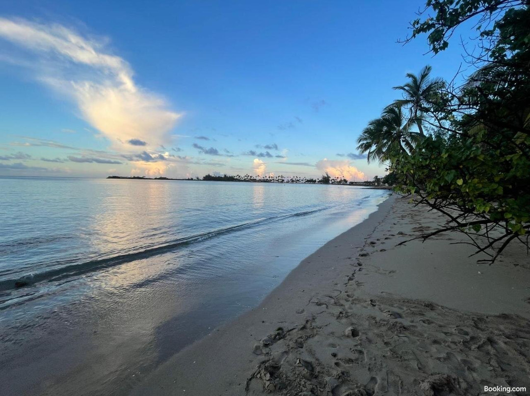 Aqua By Dreams Hotel主图