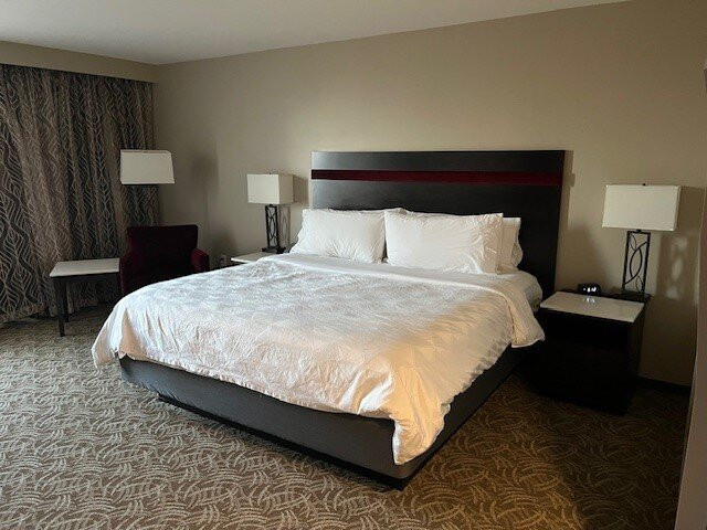 Holiday Inn Chicago - Schaumburg By IHG主图