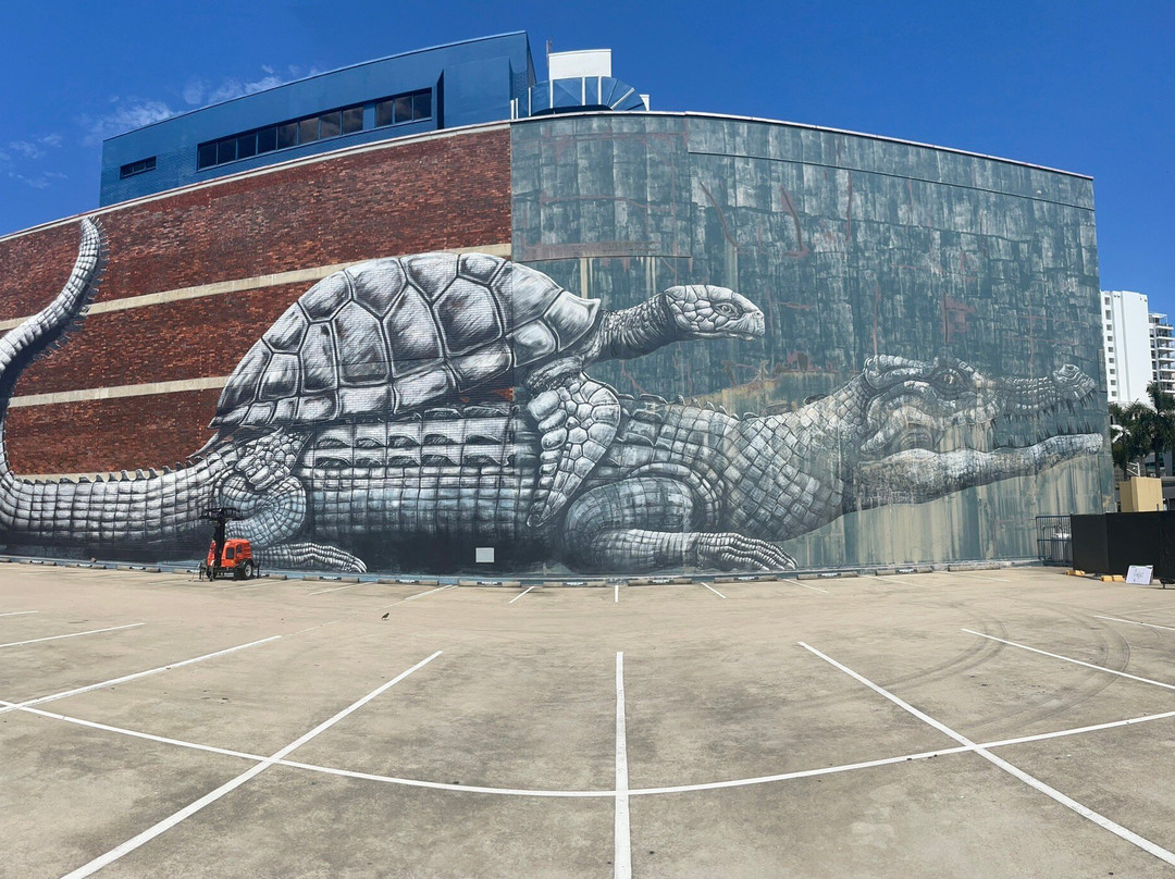 Street Art CBD Walking Trails-汤斯维尔必去景点