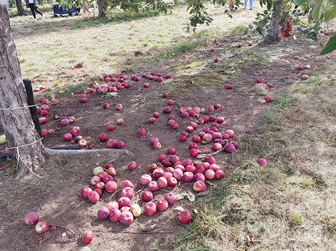 La Ferme Genest-Saint-Nicolas必去景点