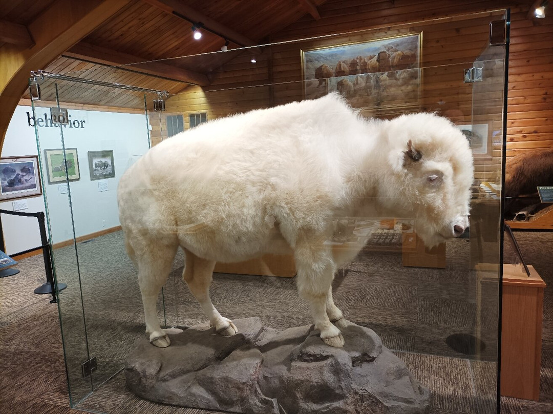 North American Bison Discovery Center-Jamestown必去景点
