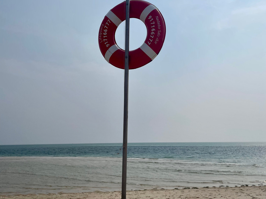 Armona Island景点图片