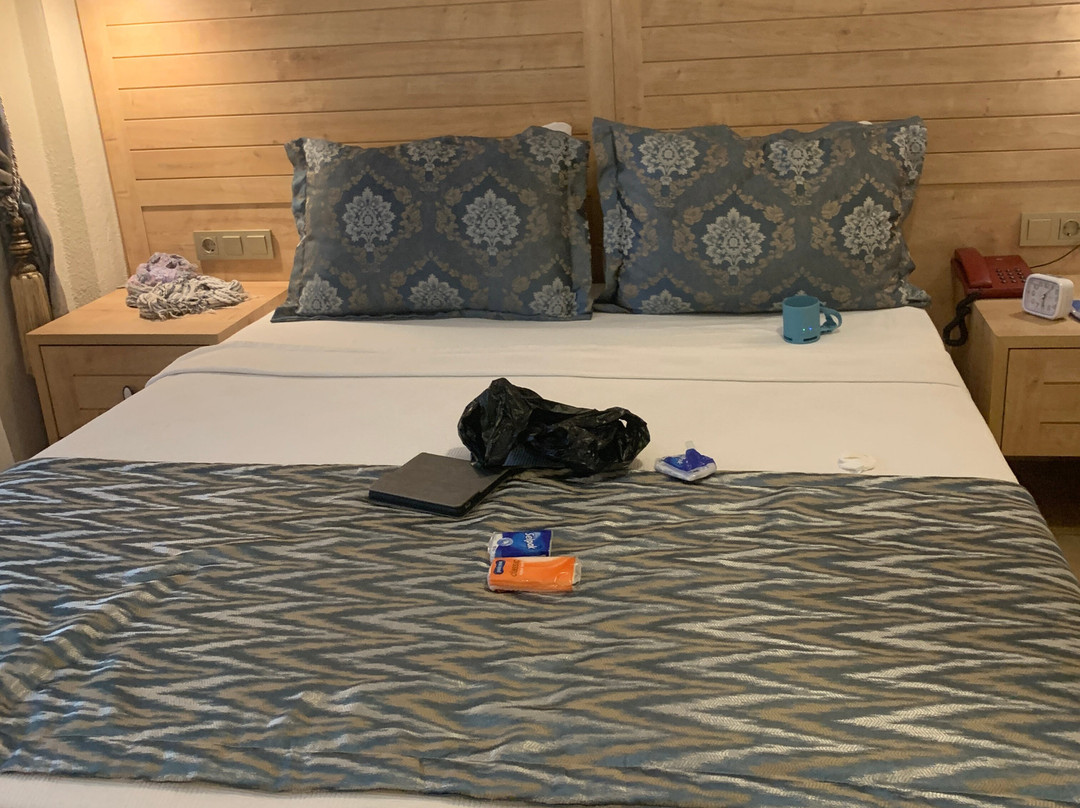 Portakal Hotel主图