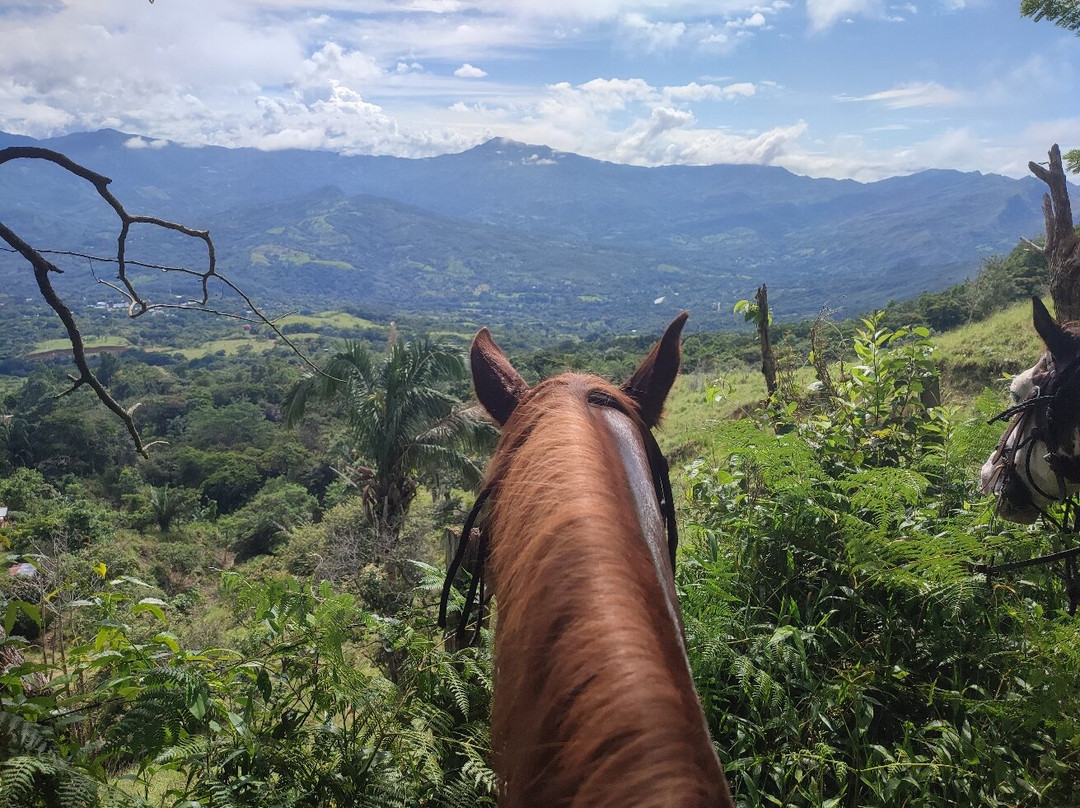 Horseback Panama Adventure Tours景点图片